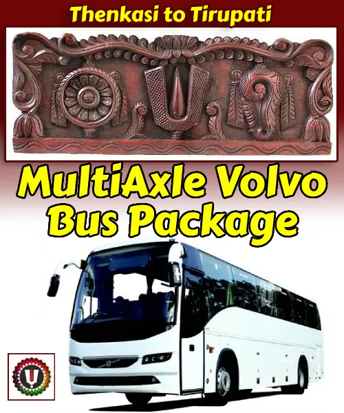 Tenkasi to Tirupati Package by Bus