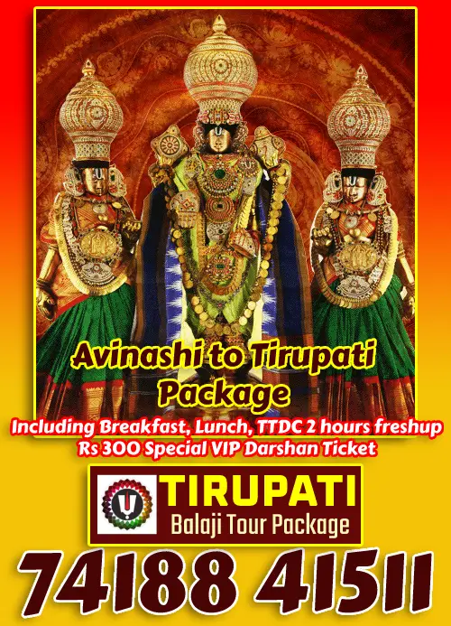 Avinashi to Tirupati Tour Package
