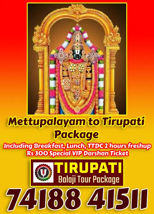 Mettupalayam to Tirupati Bus Package