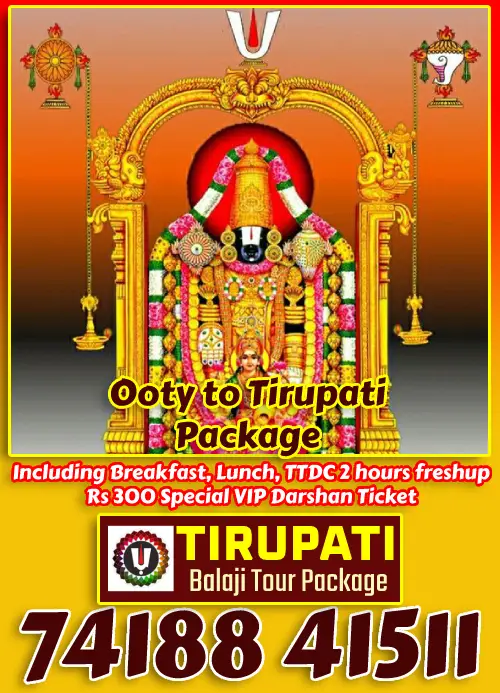 Ooty to Tirupati Bus Package